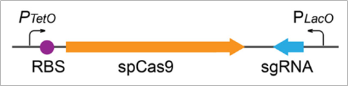 55fa2abffa14d9972cef784191e6180d.png