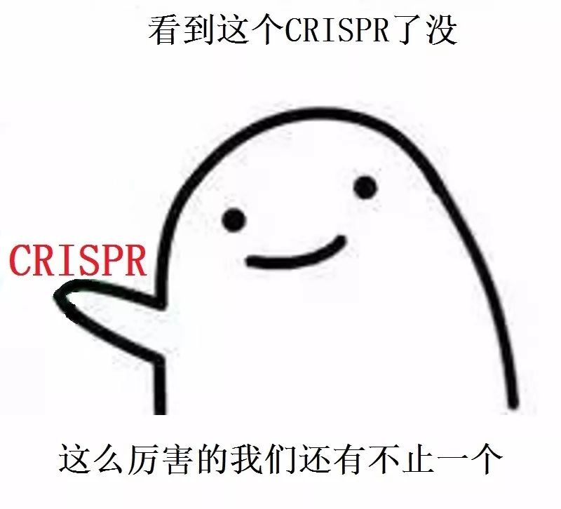 dae2bb5e15a0c15fc7f656f55fabe56d.jpg