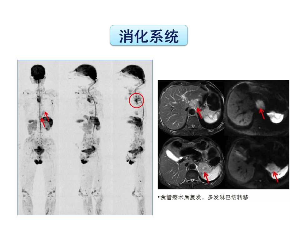 f162c92880db88d1ec2c46d502fda642.jpg