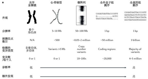 04c556d14f8da41a93f977a60cb86fc0.jpg