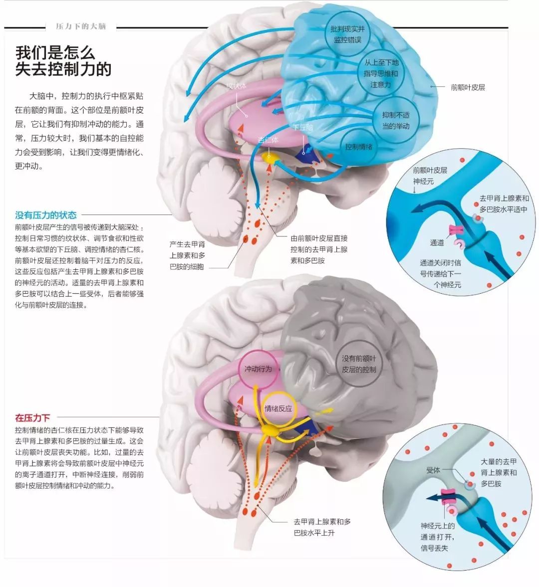 2149a91c994eb35957e1329a5d1aaf9c.jpg