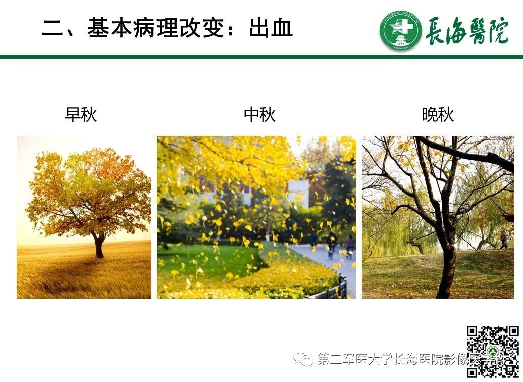 2ade5126462094e3d445cda95894c0c4.jpg