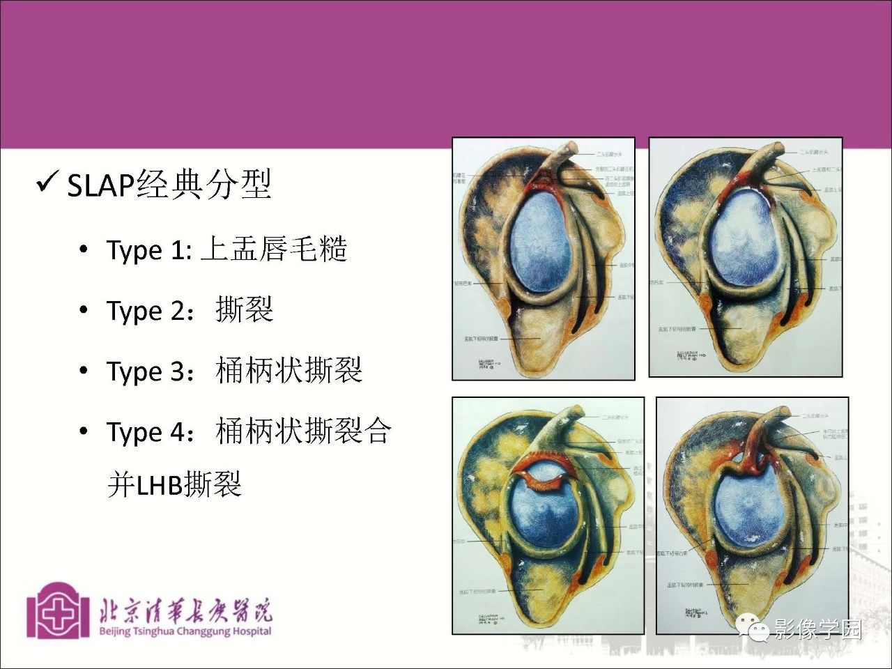 fe8f40e57aeeea8a96a3807fe2338363.jpg