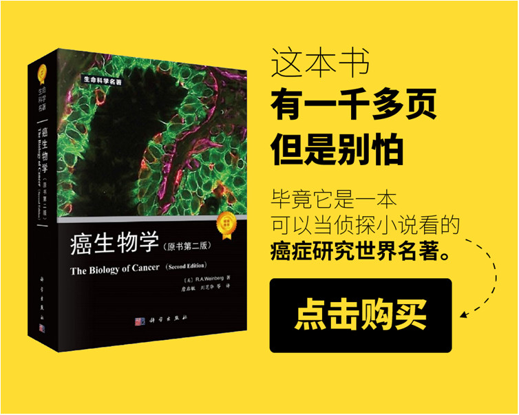 d547a3b8a01a2ca2e677808b0d2debcc.jpg