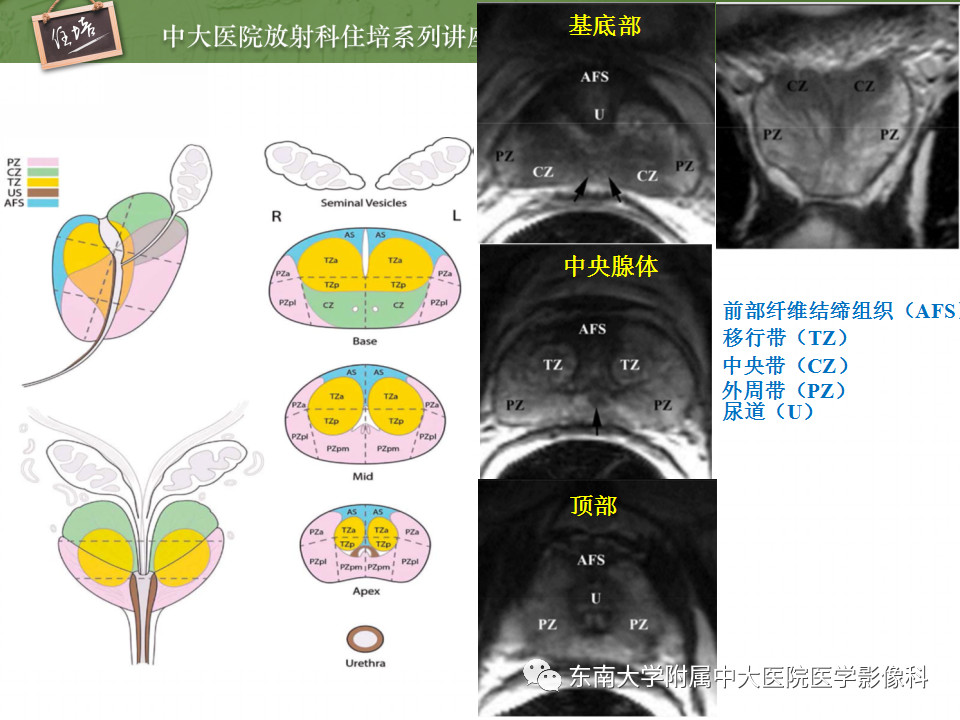 d8ec3c3e31a61781b0a14aebf3eee6aa.jpg