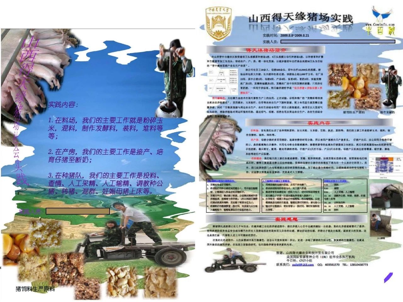 b85e0156a6dccddd862e037c79bf869b.jpg