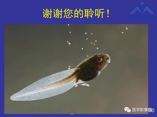 cde3d8660370b5f3135a56a767d51530.jpg