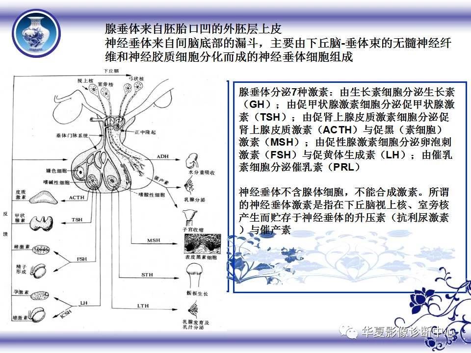 a78224c5399f8bf782decf5a770c7816.jpg
