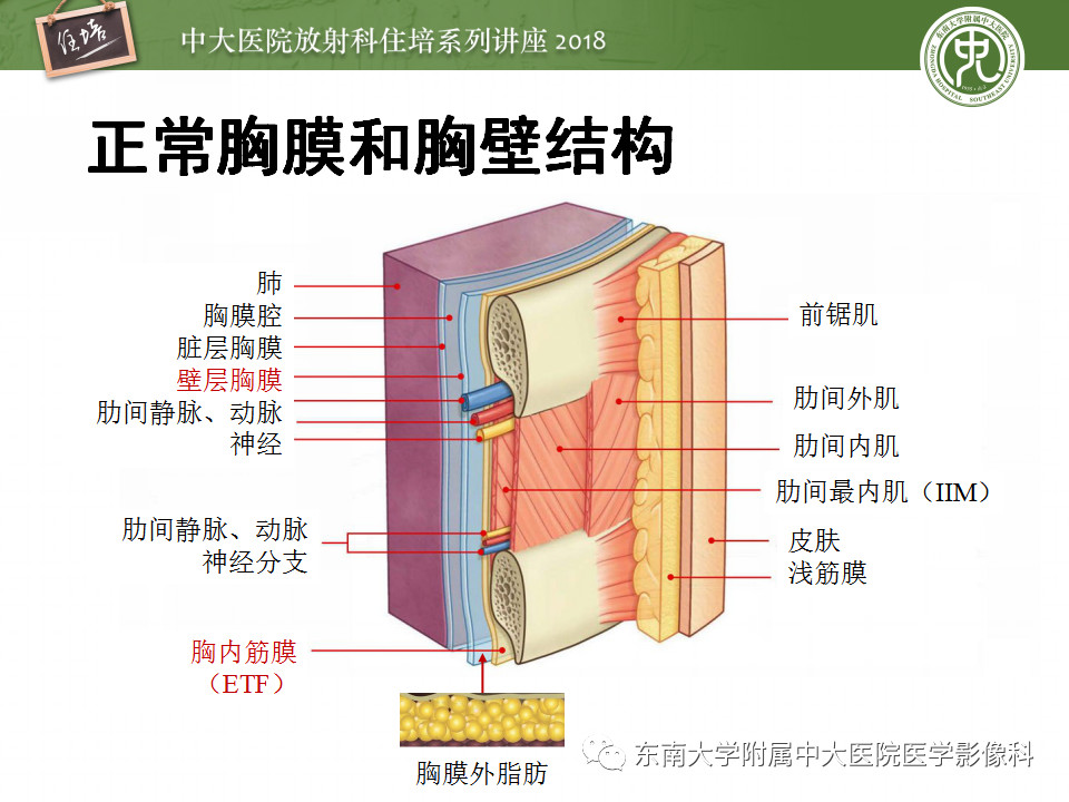 1ab03f55b34e3fe67b741c6ebce93b54.jpg