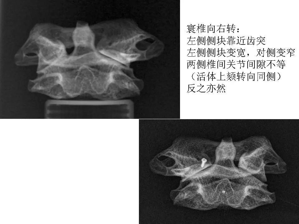 c9a638e9f07e66d3fc714dbe3afdb5ec.jpg