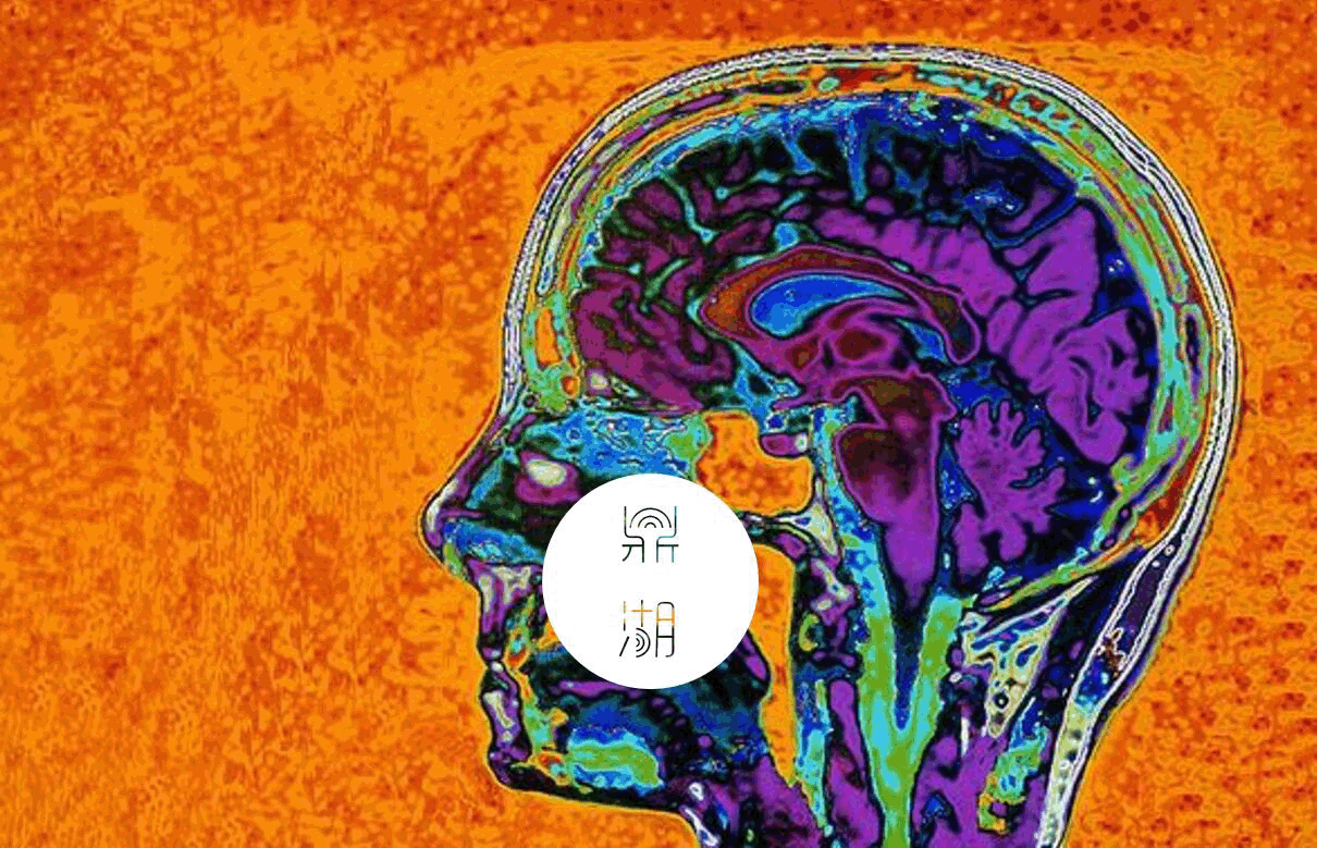 f3d001f6f49fb34f0031160a946e67d9.gif