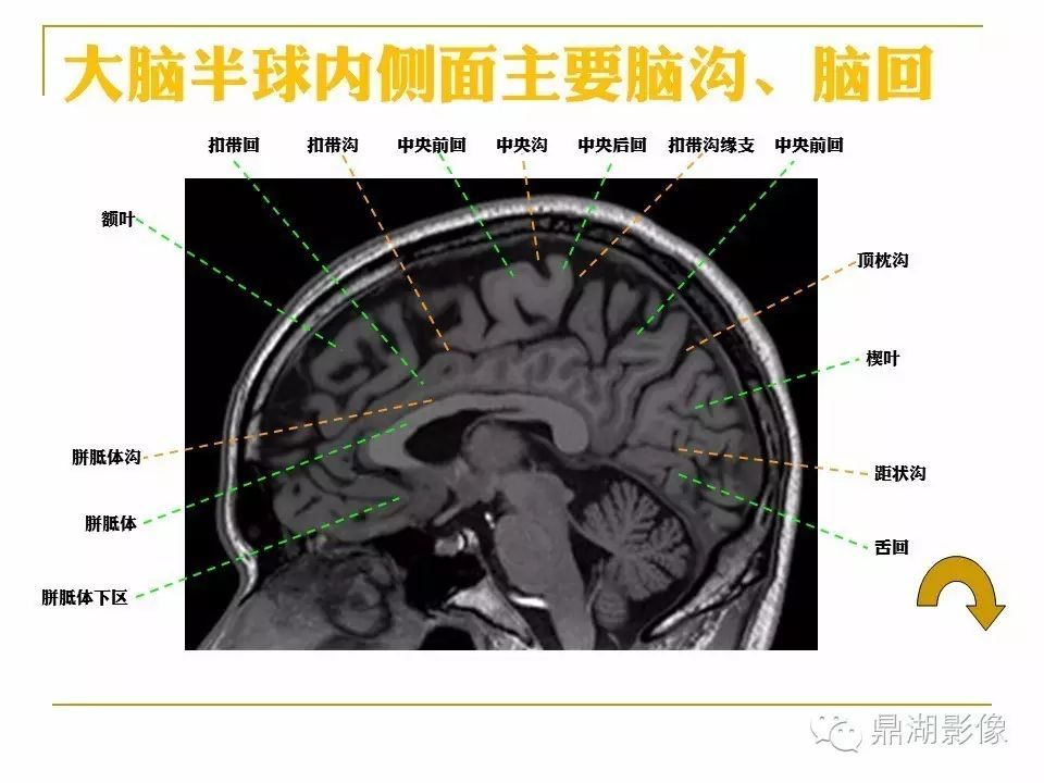 c0ee72dffeedeba98bf4d70c79067c20.jpg