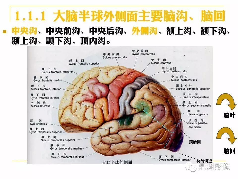 fb6a543a70000a900a41438edbaba706.jpg