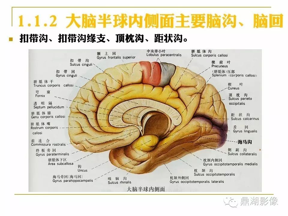 6a1206e97b64a4b1c923e51b7de6077a.jpg