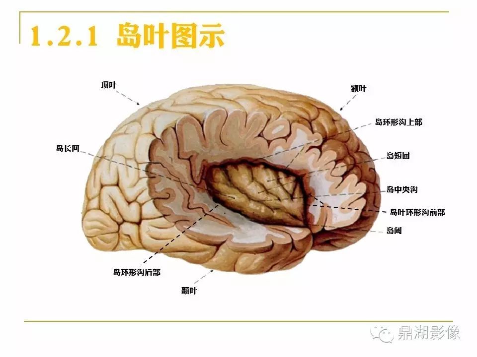 9b6ec634e8db00fcf2af7abac56476b2.jpg