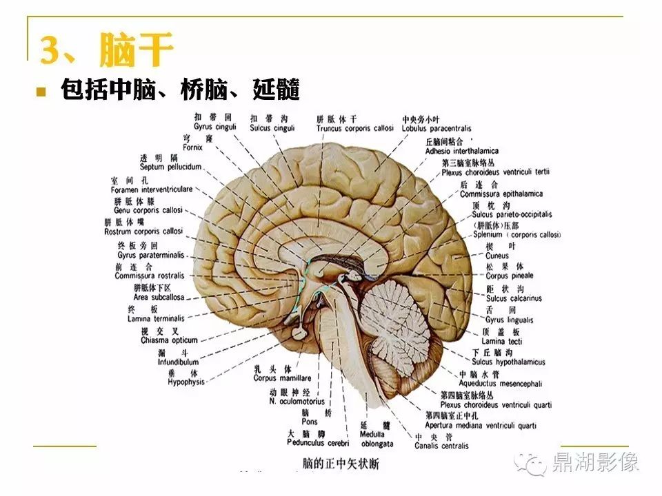 dbbe902f35c27cf11c40f574d437c9be.jpg