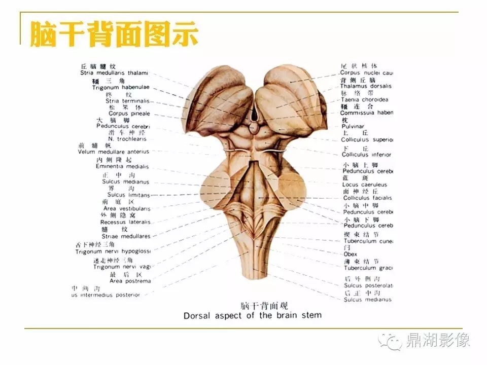 6eec90eae901a45e8621fe81b9a3705c.jpg