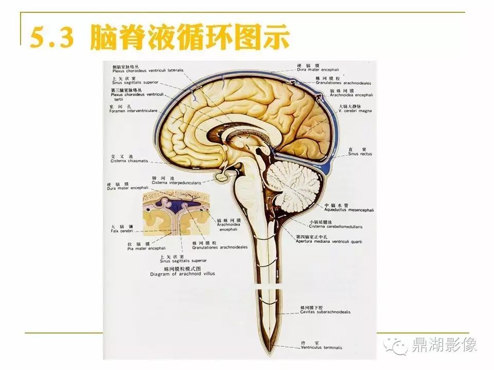 f1640eadb00a8391bde8fee3d5bb694d.jpg