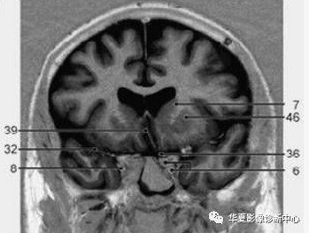 554151562988506de5d2c1d4179129ac.jpg