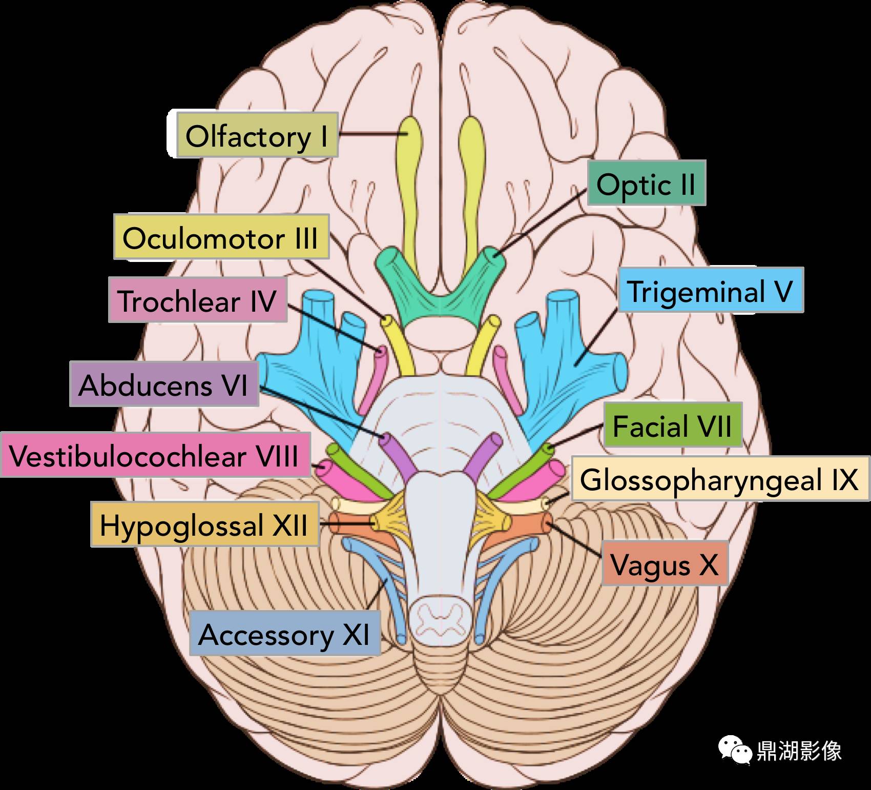 520cffad8fa38c43508a010268e337f0.jpg