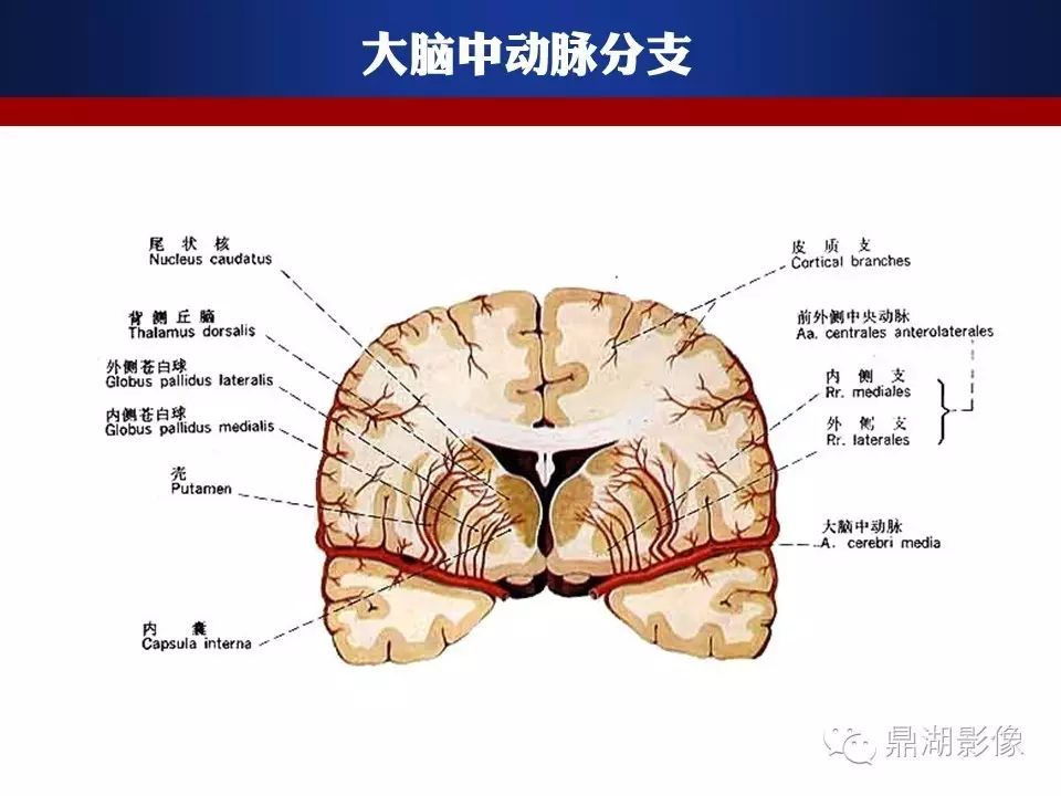 757b986652ec9969d3a8147bd3de3453.jpg