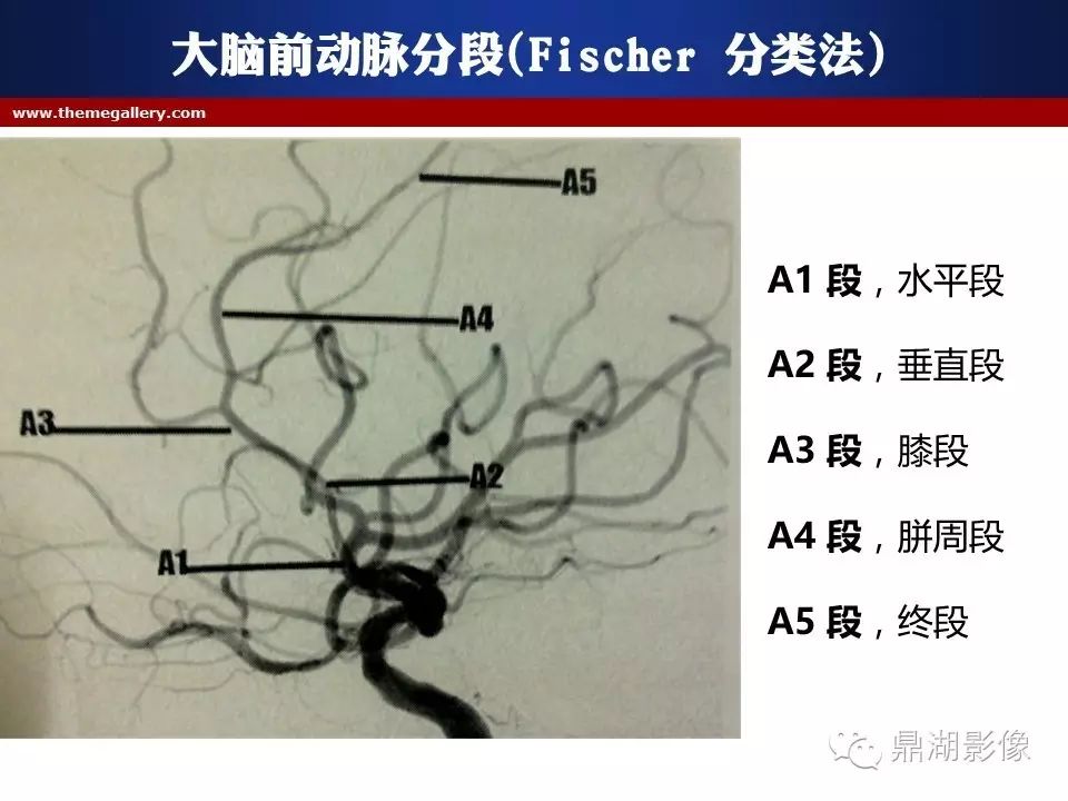 1eaa1b18b55bb2c4c43f1f719c515f35.jpg