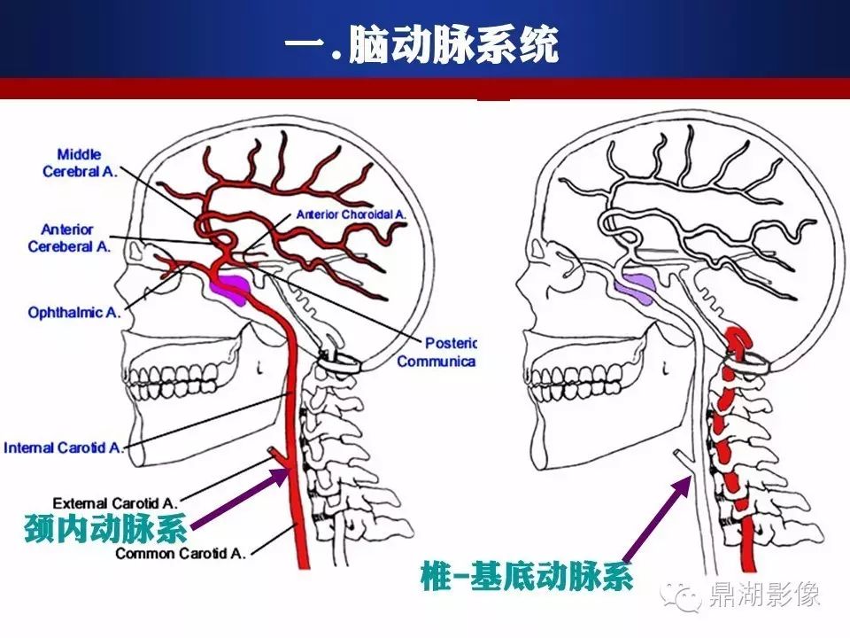a43114a1dbed8fa3ca2cfb11a6679ae8.jpg