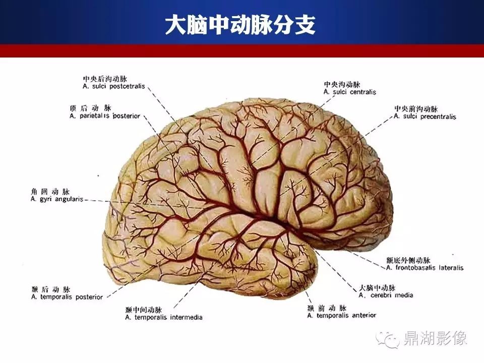 436200ab32061e3f6f5c2ec0510a7a94.jpg