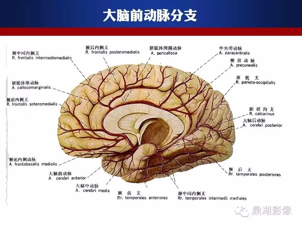 302545b88a8f9204d45ca7bde84bbbbf.jpg