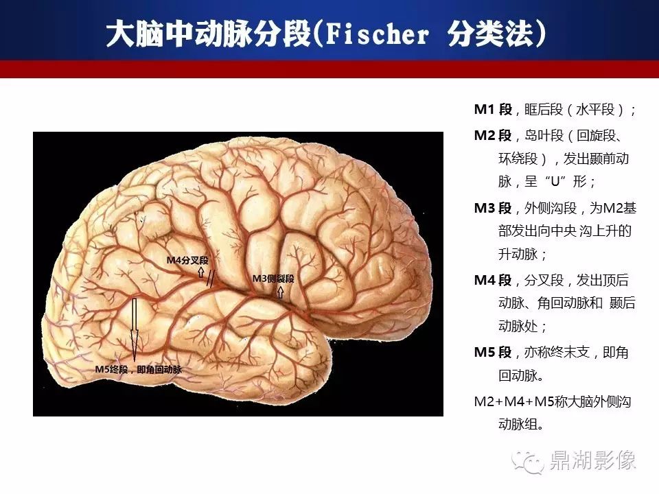 af3ba25e3b9b6dff9196ce9c7c8c7c0c.jpg