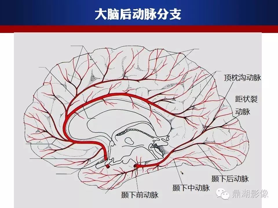 cf38c505b87b201702725044676334c0.jpg