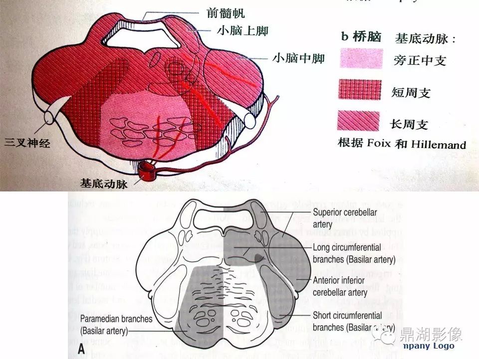 12a6f4fe00d1be6d878999d31498b375.jpg