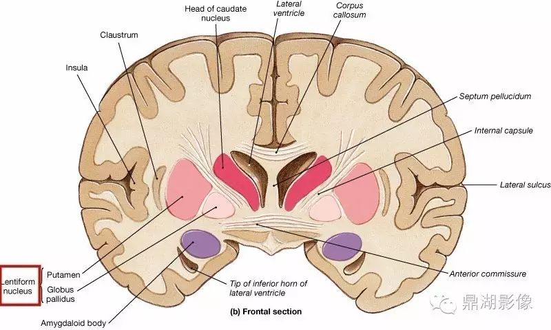 322e0e477848308a4168848d65269d91.jpg