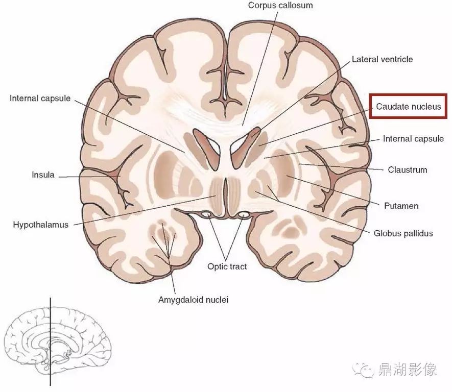d0092e81be0f26cd554f7b3535df18ad.jpg
