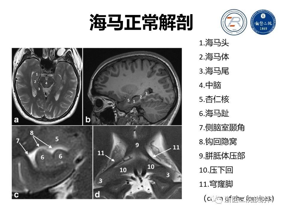 31a0f871524eccb7b87db93c594c3637.jpg