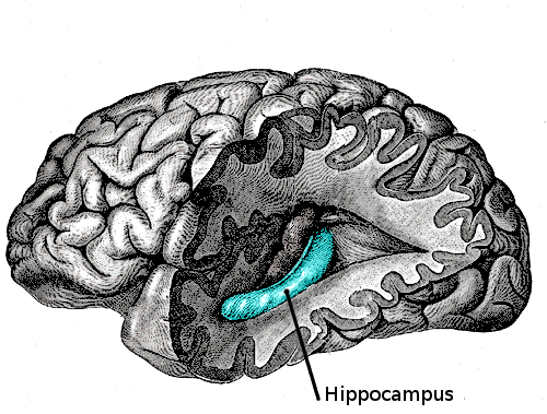 e8c7f9e976ee7151a45dd7d0399019d8.gif