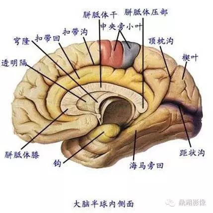56ed184d4568c50d9f53d9520f4b8bd2.jpg