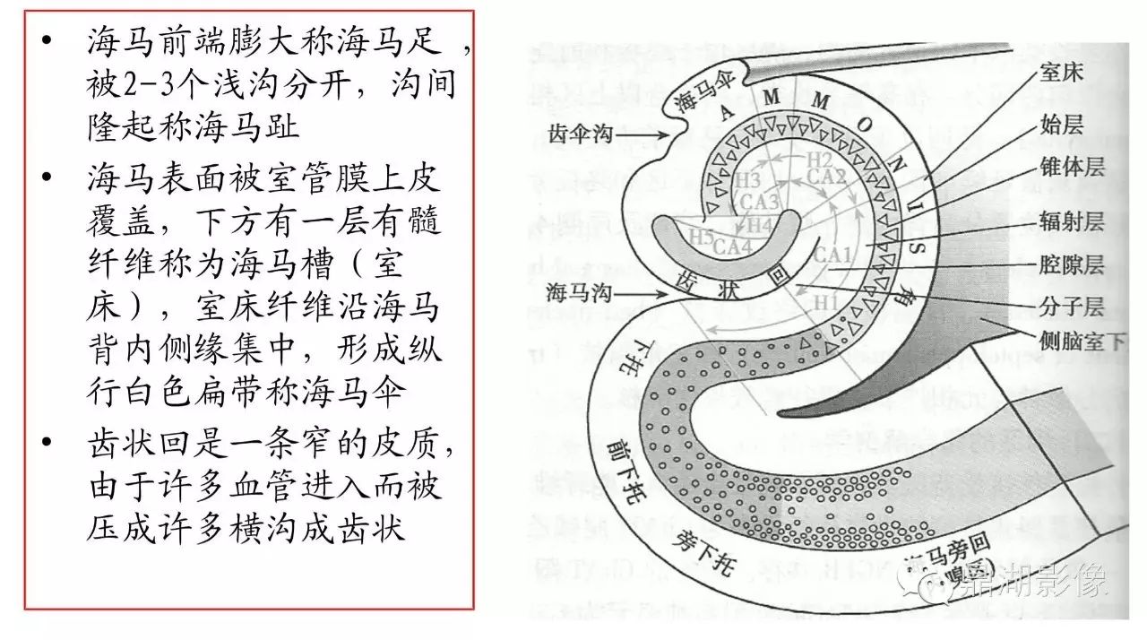 a3f3c1304e71c2b63473afe2b2424591.jpg