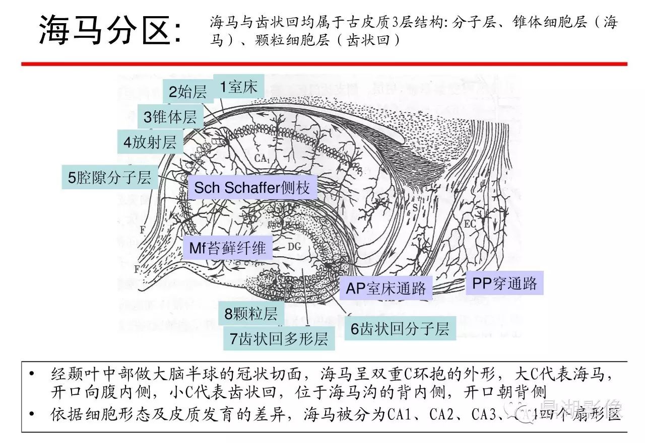 2ccbaec71fcbe54cc6b9644601787518.jpg