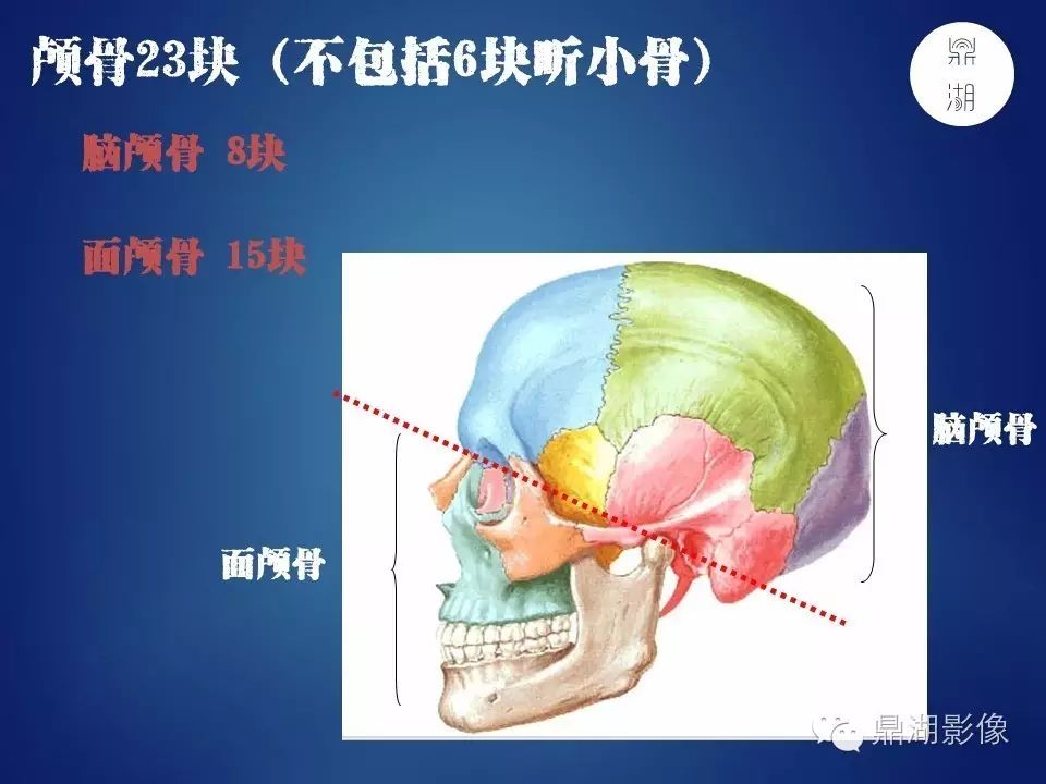 be25beb0aebc3663ba5c811342d4d1c1.jpg