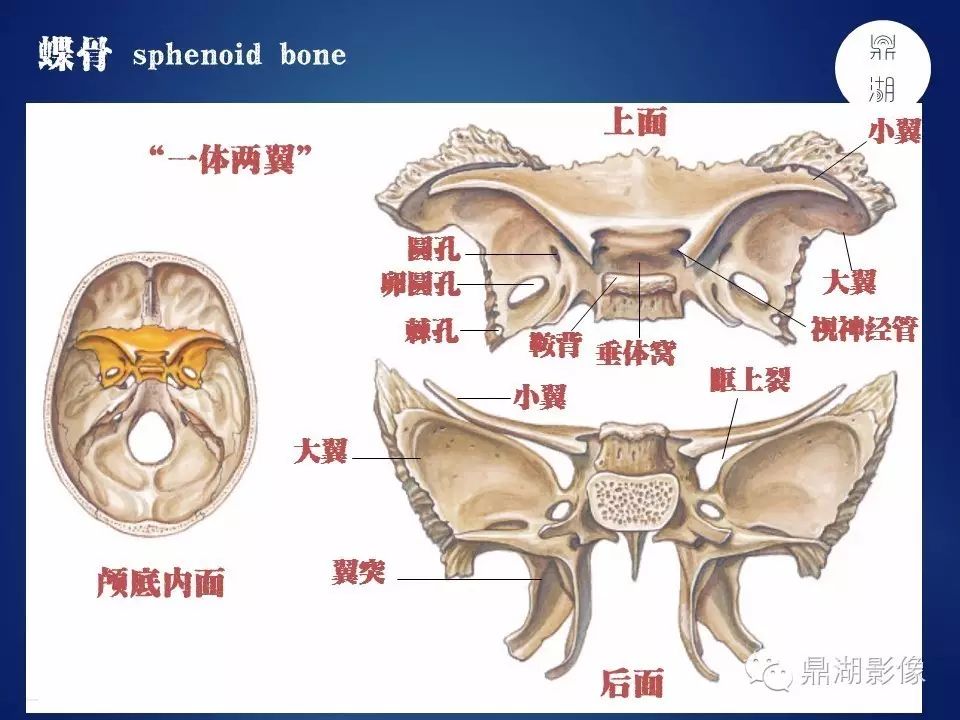 d4e58ed2958d7c4d7acc167f683d9491.jpg