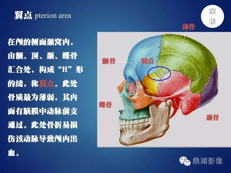dafcb0b4758c7a17004bb35813738a82.jpg