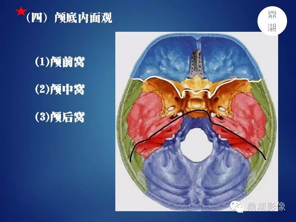 5b32f11102880896153c4d077f6e81c3.jpg