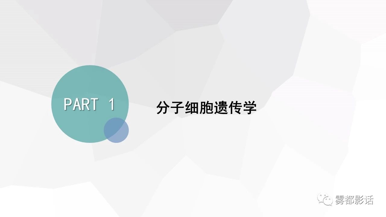 b1222aa5ff1e19d3da0d4693e1fe844f.jpg