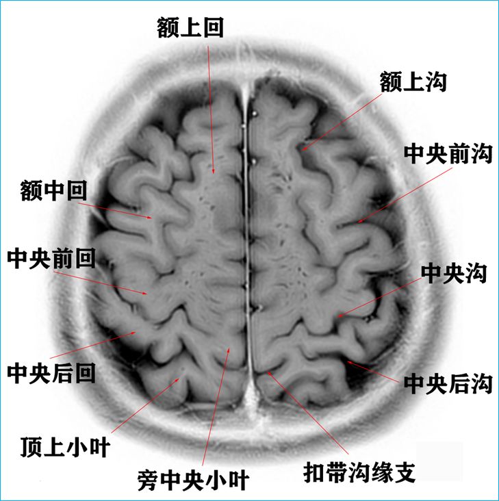 qw7.jpg