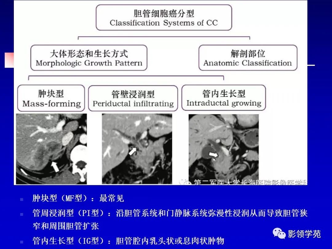 3f2602cd4ccf9d4bc57a9be90ec3bb78.jpeg.jpg