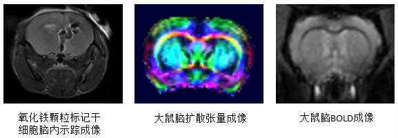 E269F87F88D7F5BECEF4BDCEA8A_AD2EEFD2_7AD9.jpeg