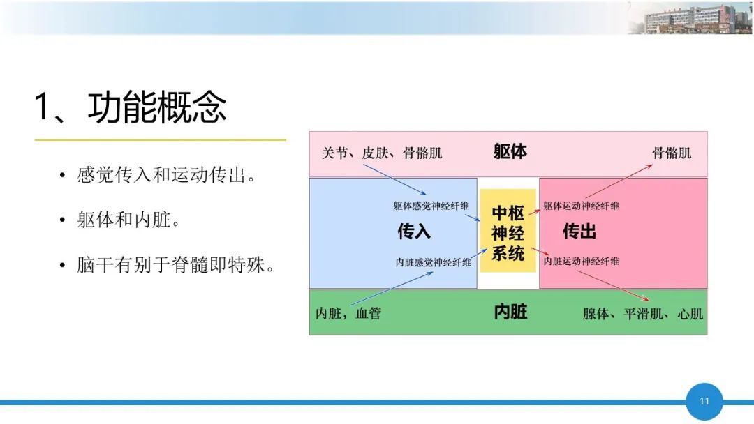qw11.jpg