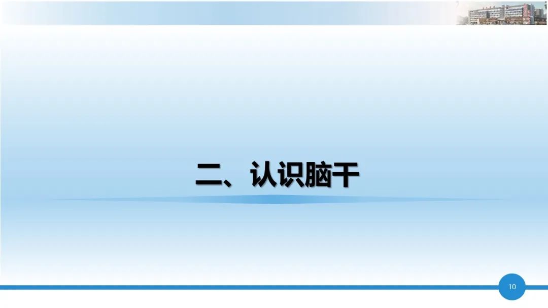 qw10.jpg