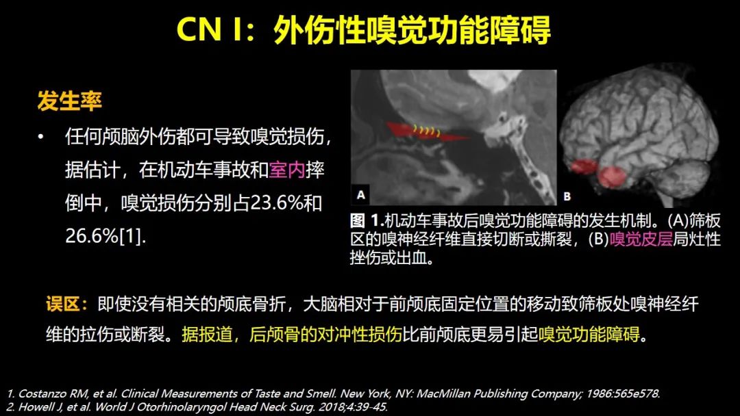 qw7.jpg